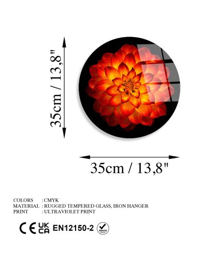 Impression sur verre Fleur multicolore - D.30 m